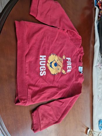 Pull fin bordeaux Winnie Disney _ taille 24 mois