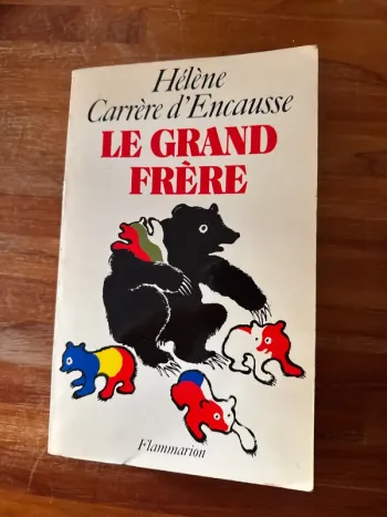 Livre le grand frère