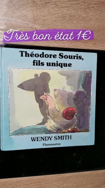Livre Theodore souris fils unique