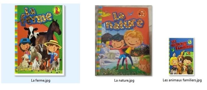 📖 Lot de 3 livres : Collection Première Découverte 📖 - photo numéro 2