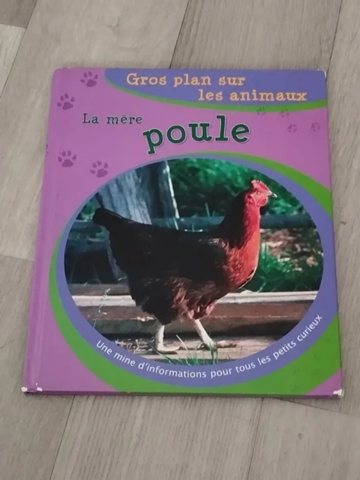 collection de 8 beaux livres illustrés et BD pour enfants en très bons états L097 - photo numéro 8