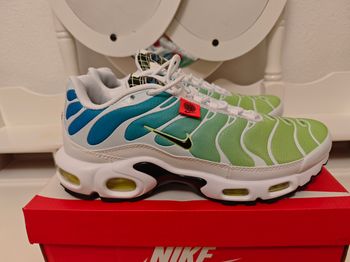 Requins tn
