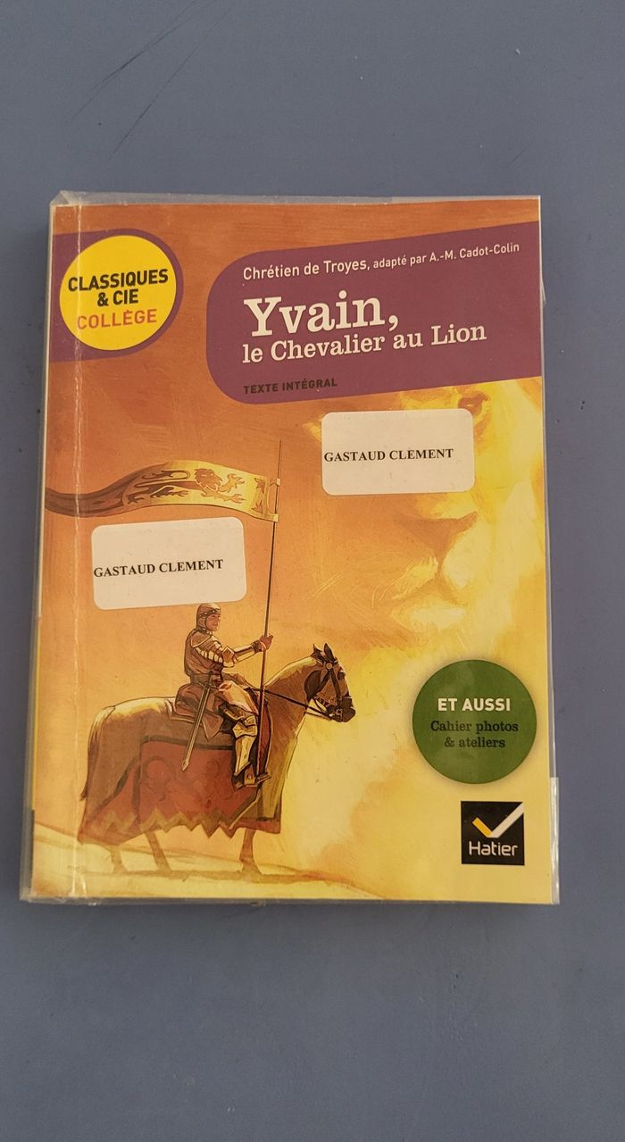 Yvain, le Chevalier au Lion de Chrétien de Troyes
