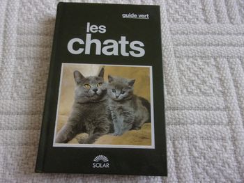 "Les chats"