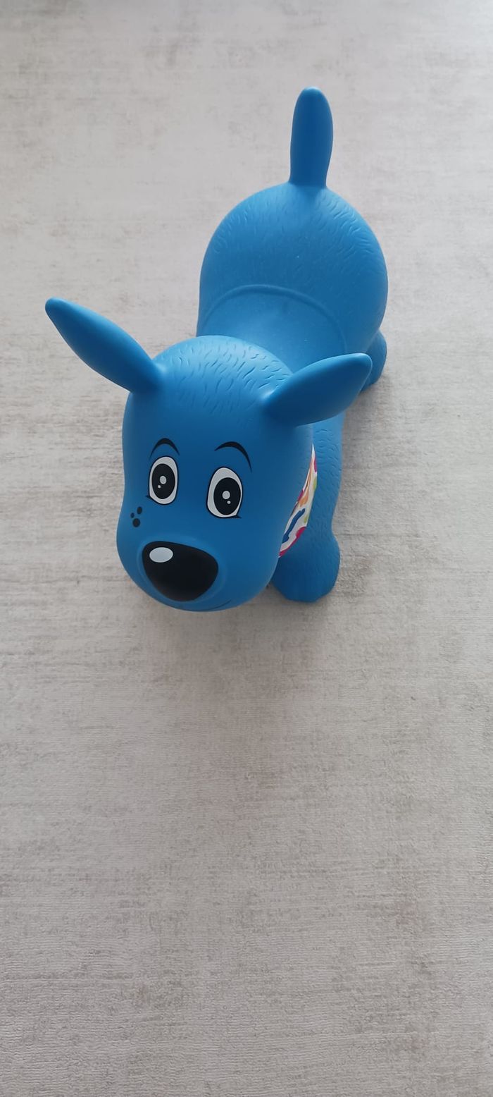 Ludi - Chien Sauteur Bleu - photo numéro 3