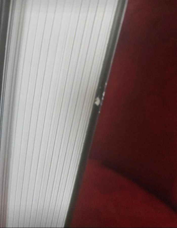 Au delà des murs-l'attaque des titans (neuf) - photo numéro 3