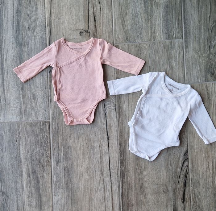 Lot 2  bodies