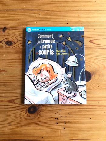 Livre Comment j’ai trompé la petite souris