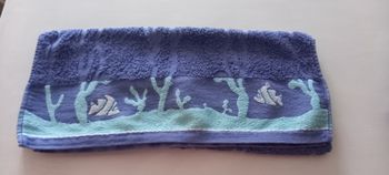 Serviette de toilette