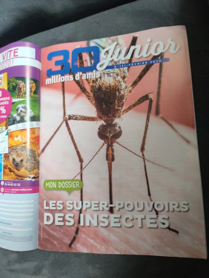 Magazine 30 millions d'amis numéro 381 février 2020 - photo numéro 8