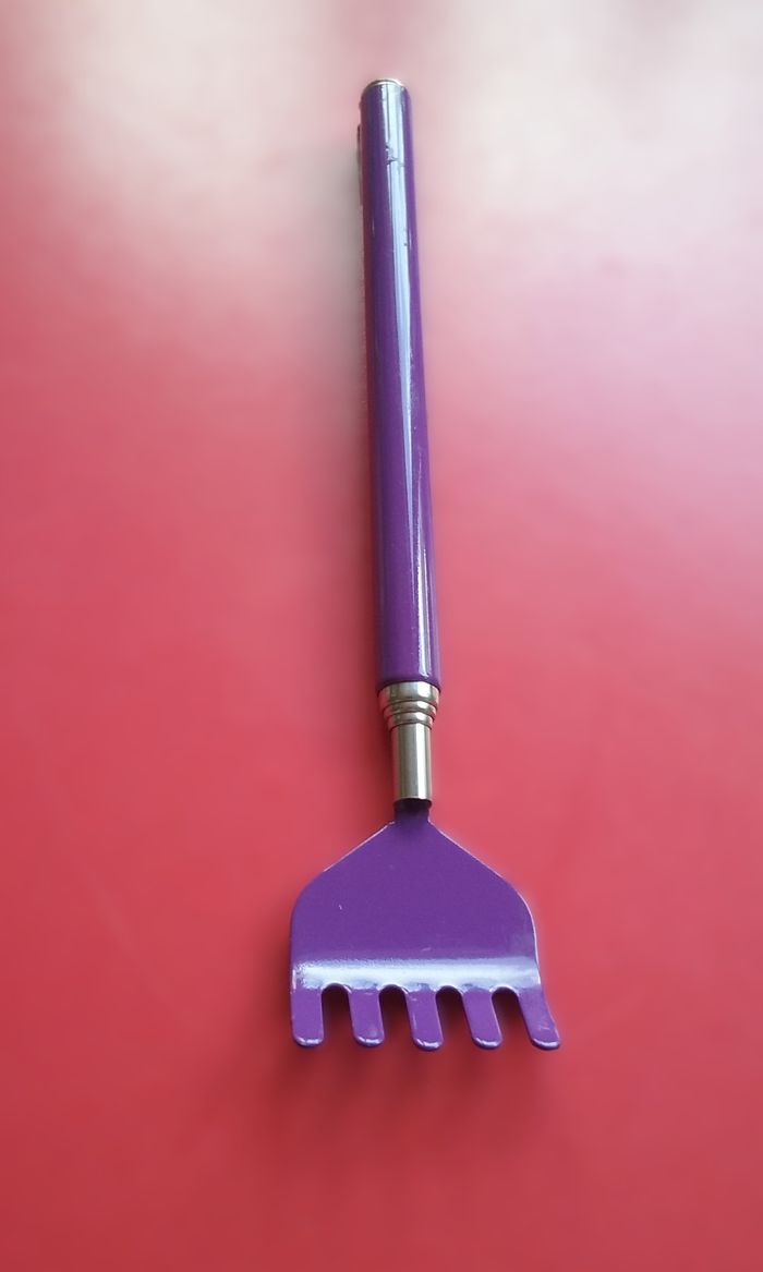 gratte-dos télescopique - photo numéro 3