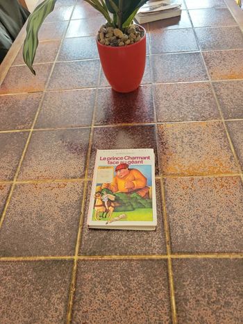 Le prince charmant face au géant bibliothèque rose