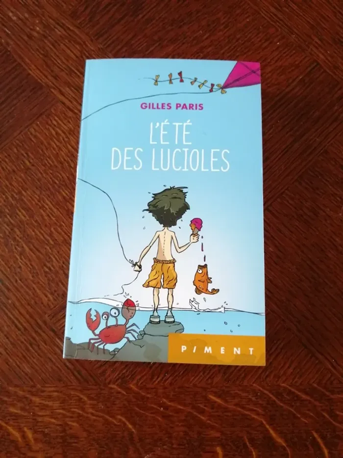 Livre l'été des lucioles