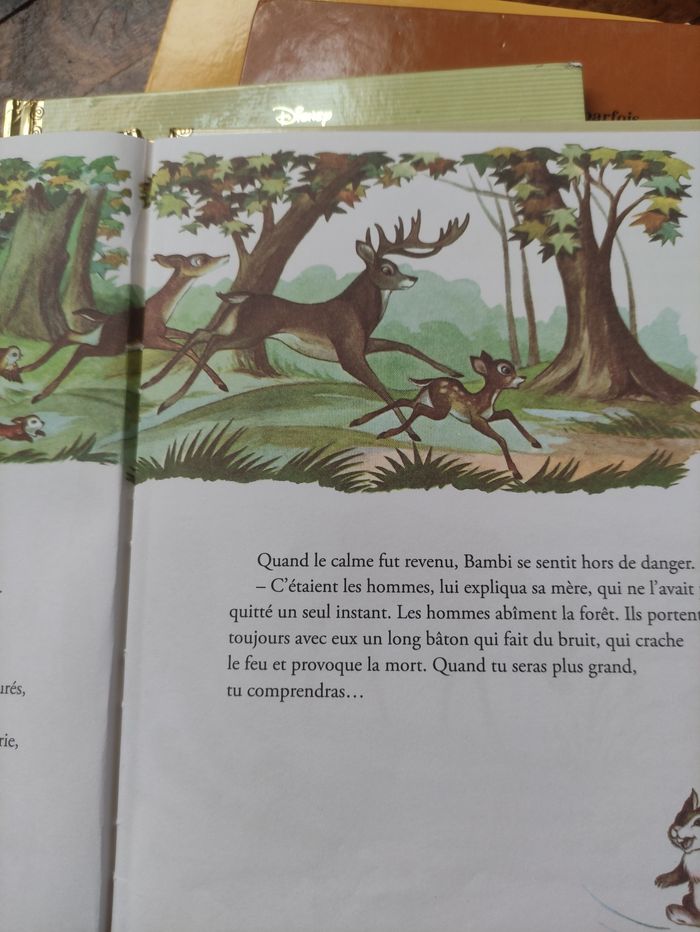 Livre Disney - photo numéro 2