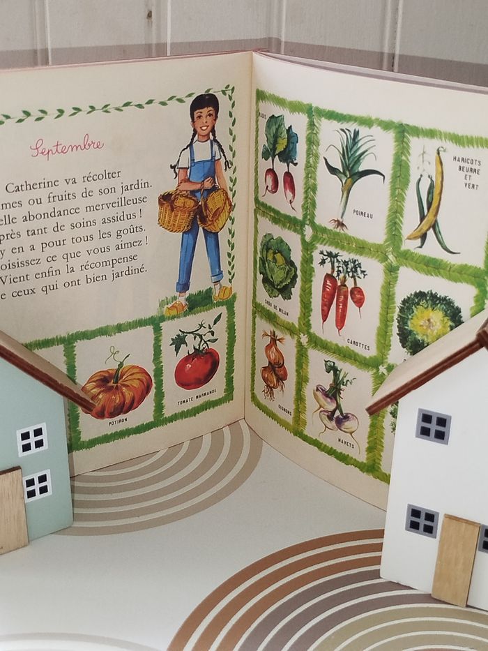 📚 Vintage Hachette Les albums Roses Catherine au jardin - photo numéro 3