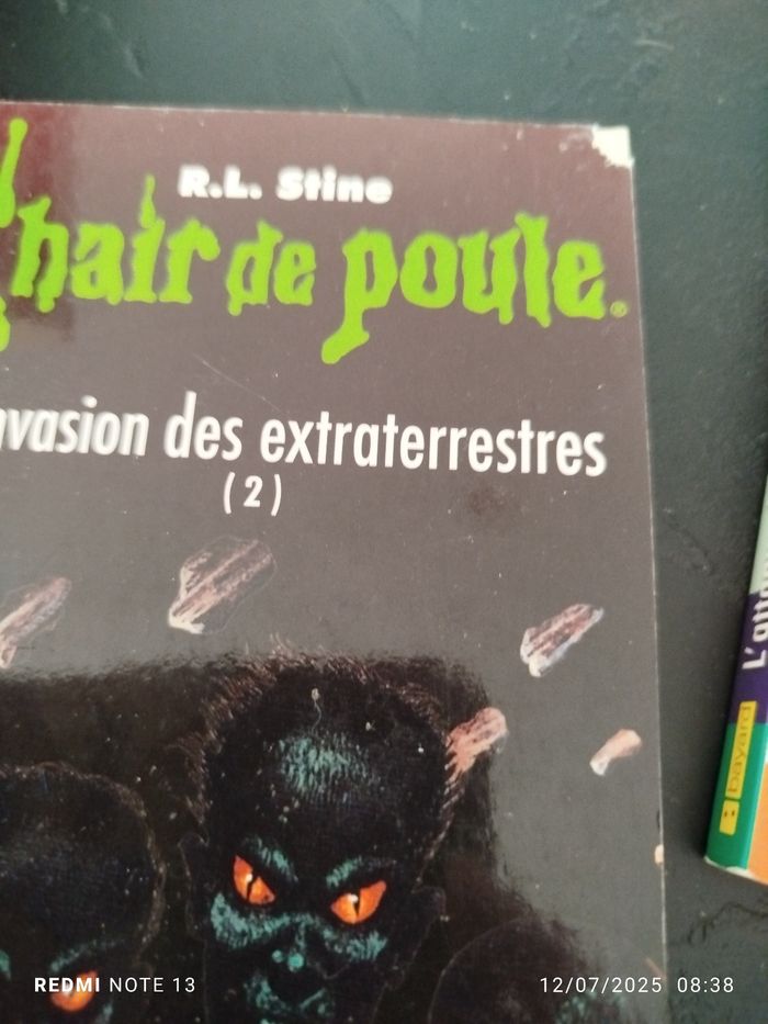 Lot 11 livres chair de poule - photo numéro 6