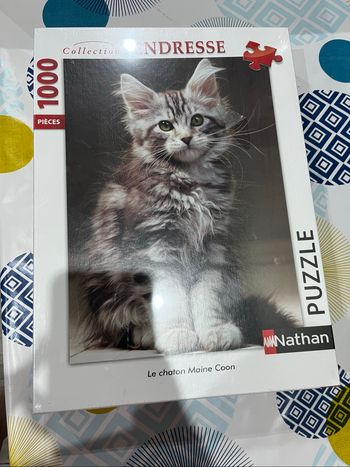 Puzzle 1000 pièces chaton Maine coon neuf