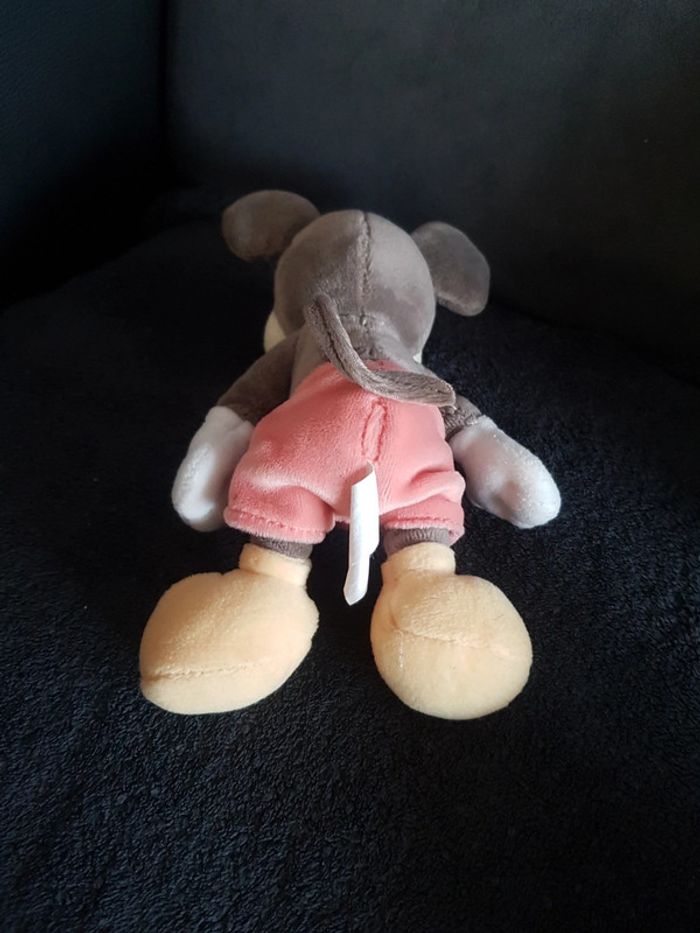 Mickey - photo numéro 4