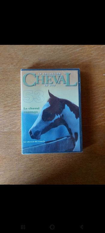 DVD