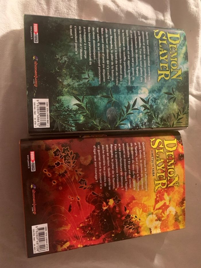 Mangas - photo numéro 2