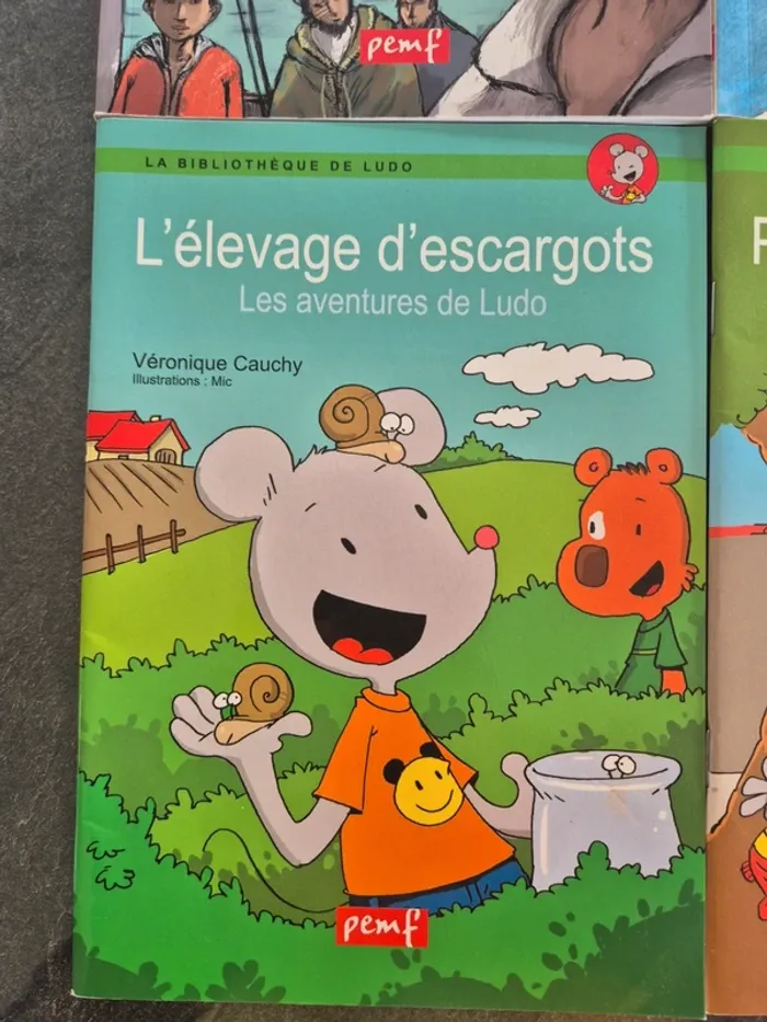 Lot de 4 Livres Enfant de la collection " La Bibliothèque De Ludo" - photo numéro 5