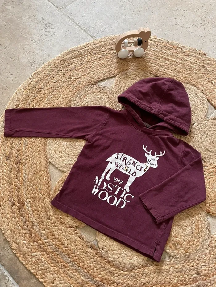 T-shirt manches longues avec capuche 18 mois
