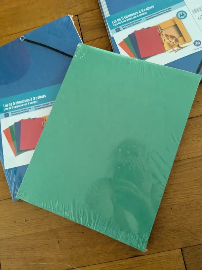 1 (ou ou plusieurs) lot de 5 chemises 3 rabats - photo numéro 4