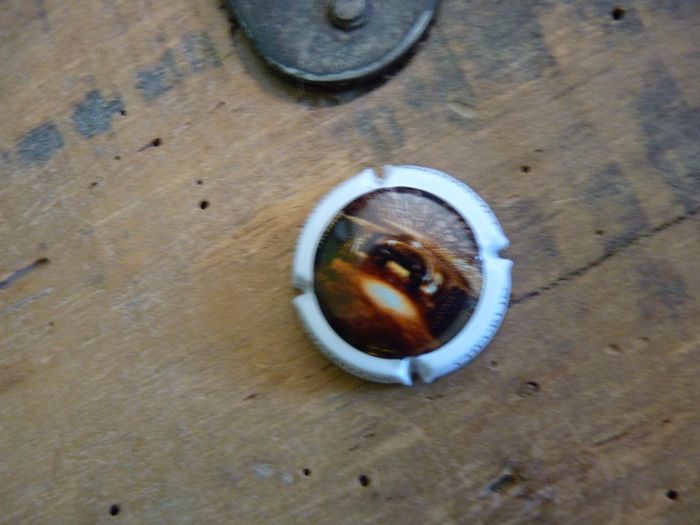 plaque muselet champagne Cheurlin collection vin cuisine TBE - photo numéro 2