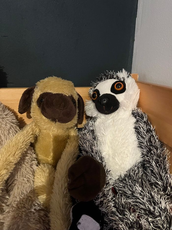 Lot de 3 peluches - photo numéro 4