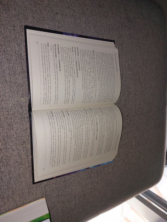 Le dictionnaire des rêves - photo numéro 4