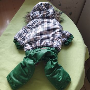 Doudoune pour petit chien avec capuche Neuf