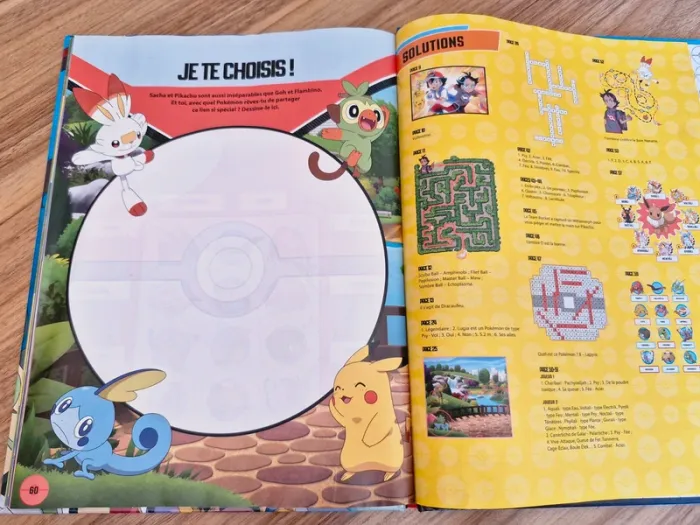 Livre Pokémon - photo numéro 6