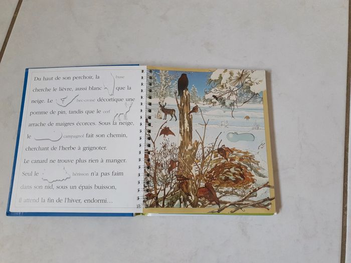 Livre rébus Les saisons - photo numéro 6