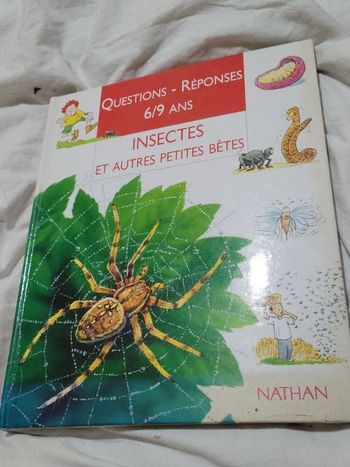 Questions réponses insectes et autres petites betes