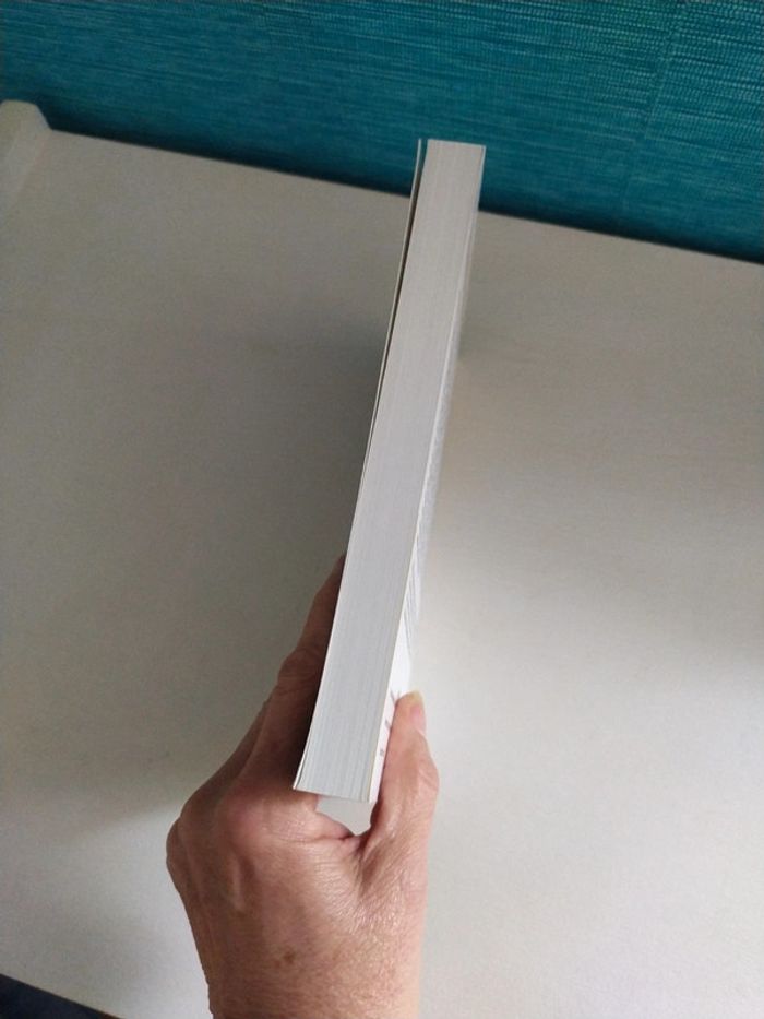 Les Vies secrètes de Vladimir de Yoann Iacino - photo numéro 5