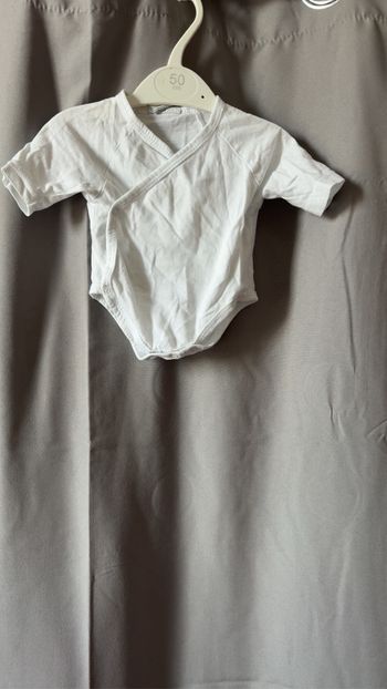 Body