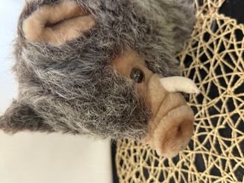 peluche sanglier