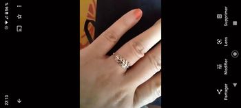 Bague feuille en argent jaune