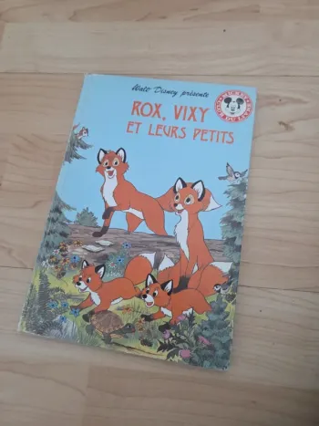 Livre disney rox vixy et leuw petits