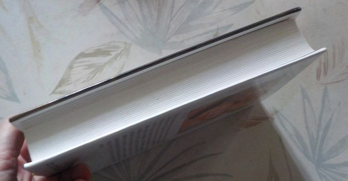 Zoya de Danielle Steel Ed. France Loisirs - photo numéro 4