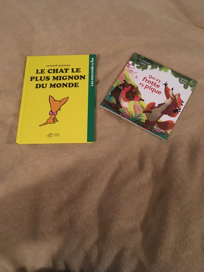 Lot de deux livres