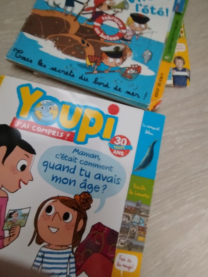 Livres youpi j'ai compris - photo numéro 7