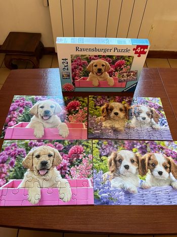 2 puzzles 24 pièces