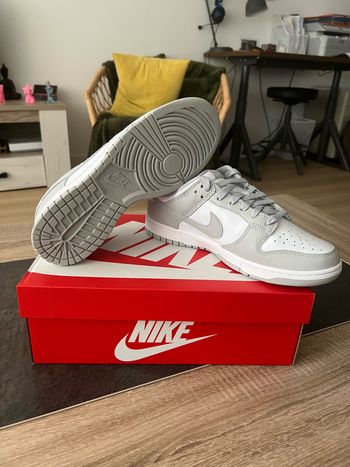 Nike Dunk Low Grey Fog