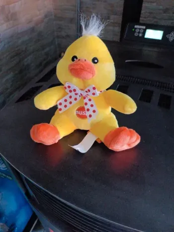 Canard sonore Fizzy 15 cm.