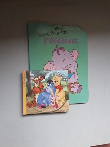 Lot livre winnie
