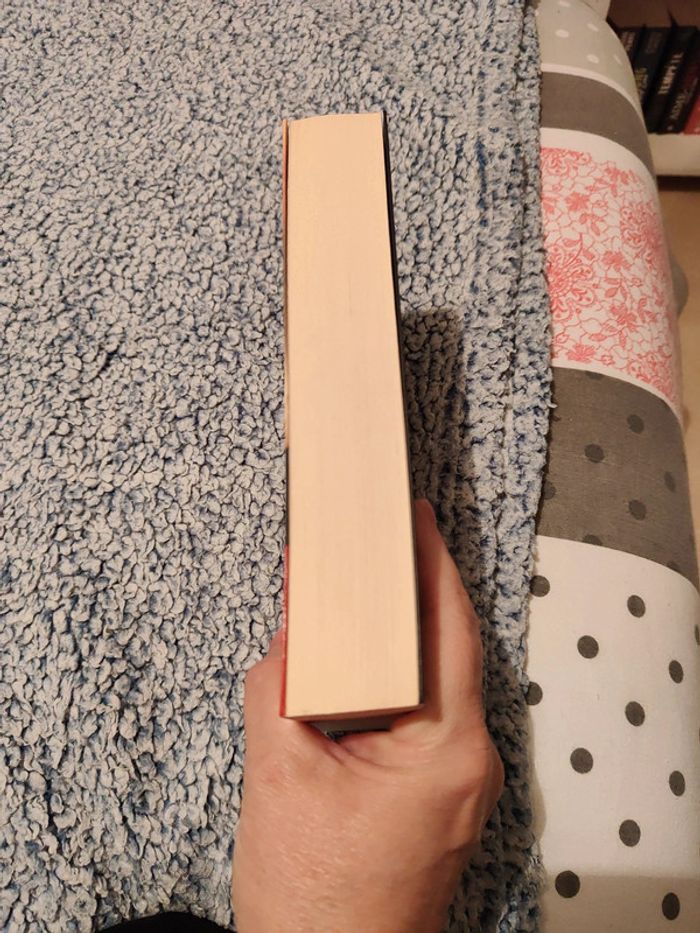 Les voix du crépuscule - photo numéro 4