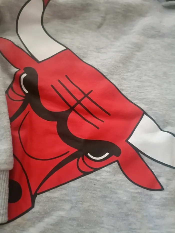 Sweat Chicago bulls x NBA 5-6 ans - photo numéro 3