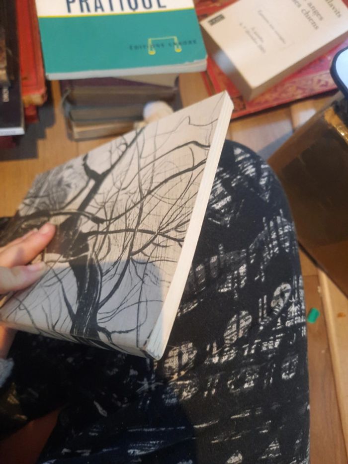 Livre Ardèche Jean Charles p j - photo numéro 5