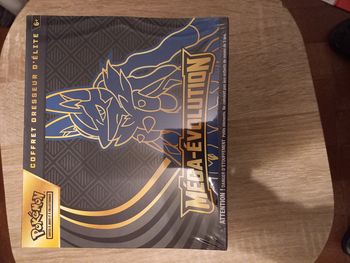 2 ETB Mega evolution illustration lucario et gardevoir
